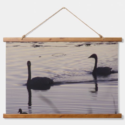 Trompetter Zwaan Paar bij Dusk Wood Topped Wandtap Hangend Wandkleed (Voorkant)