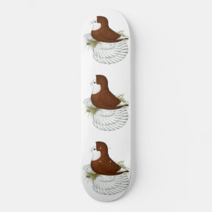 Trompetterduif Rood Kaalkop Skateboard