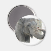 Trompetterend olifant ronde Button Magneet (Voorkant / Achterkant)