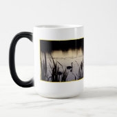 Trompettierszwanen bij Dusk Morphing Mok (Links)