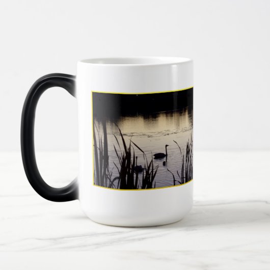 Trompettierszwanen bij Dusk Morphing Mok (Links)