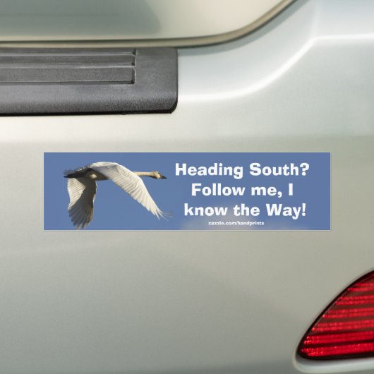 Trompettist Swan Bumpersticker (Op auto)