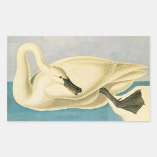 Trompetzwaan door John James Audubon, Vintage Voge Rechthoekige Sticker