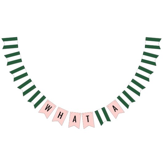 Troop Beverly Hills "Wat een sensatie" String 1 Vlaggetjes (Alle)