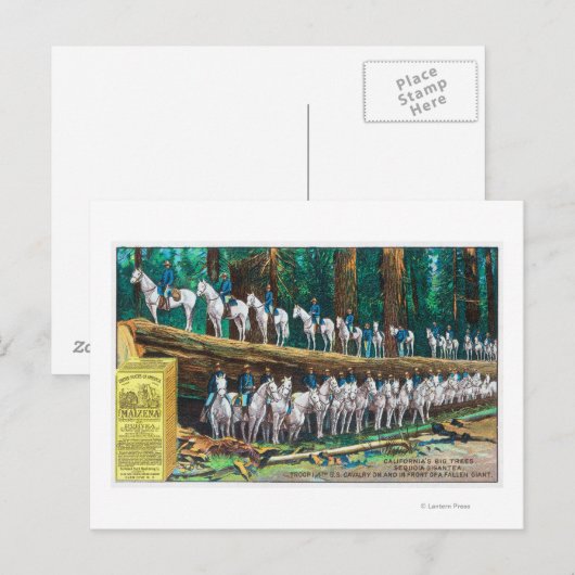 Troop I aan en voor Fallen Giant Briefkaart (Voorkant / Achterkant)