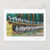 Troop I aan en voor Fallen Giant Briefkaart (Voorkant)