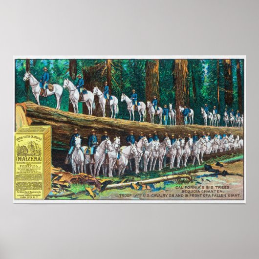 Troop I aan en voor Fallen Giant Poster (Voorkant)