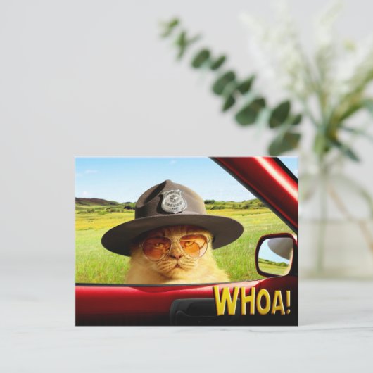 Trooper Cat Uitnodiging Briefkaart (Staand voorkant)