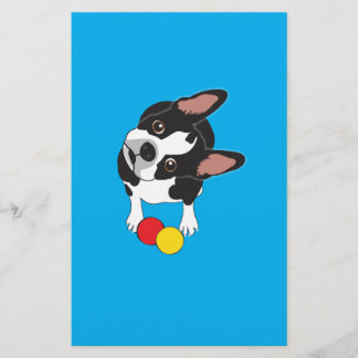 Trooper de Boston Terrier