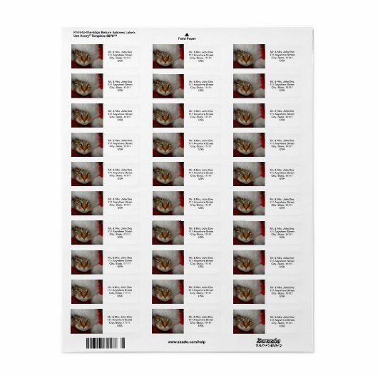 "Trooper De Kat" schuurpapier kust Adresetiketten Etiket (Full Sheet)