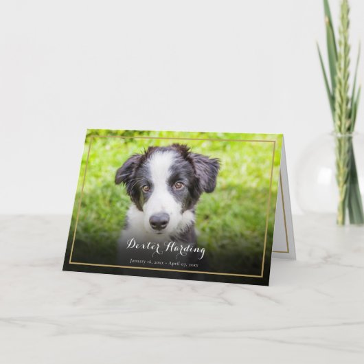 Troost bij het verlies van huisdieren Foto Elegant Bedankkaart (Voorkant)