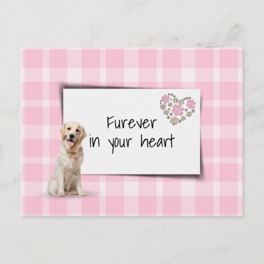 Troost bij verlies van een Golden Retriever huisdi Briefkaart (Voorkant)