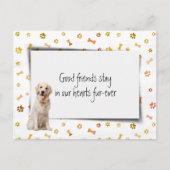 Troost bij verlies van Golden Retriever huisdier Briefkaart (Voorkant)