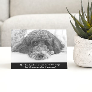 Troost Labradoodle Wenskaart Kaart
