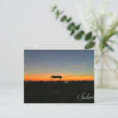 troosten | briefkaart bij zonsondergang (Staand voorkant)