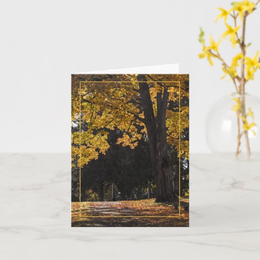 Troostende wandeling kaart (Gele Bloem)