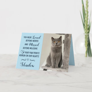 Troostkaart Kat Verloren Gepersonaliseerde Foto Hu Kaart