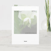 Troostkaart met Bijbelvers Kaart (Achterkant)