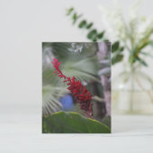 Tropen Briefkaart (Staand voorkant)