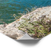 Tropen Poster (Hoek)