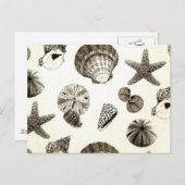 tropenstrand zeeschelp bruiloft briefkaart (Voorkant / Achterkant)