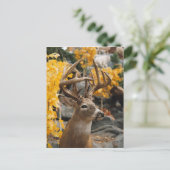 Trophy Deer Briefkaart (Staand voorkant)