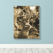 Trophy Deer Canvas Afdruk (Insitu (Houten vloer))