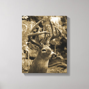 Trophy Deer Canvas Afdruk