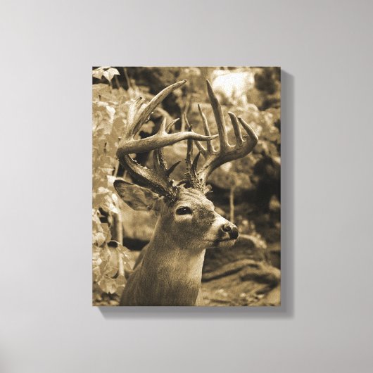 Trophy Deer Canvas Afdruk (Voorkant)