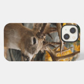Trophy Deer iPhone Hoesje (Achterkant horizontaal)