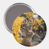 Trophy Deer Magneet (Voorkant / Achterkant)