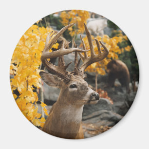 Trophy Deer Magneet