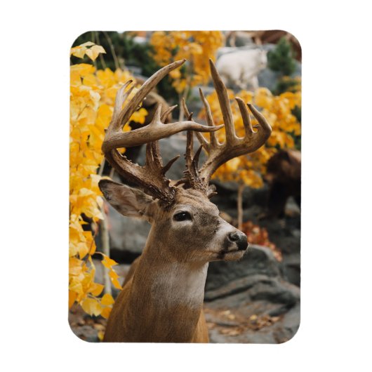 Trophy Deer Magneet (Verticaal)