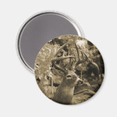 Trophy Deer Magneet (Voorkant / Achterkant)
