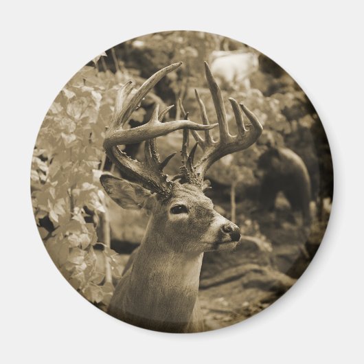 Trophy Deer Magneet (Voorkant)