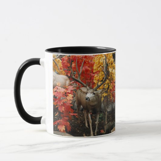 Trophy Deer Mok (Links)