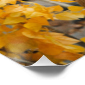 Trophy Deer Perfect Poster (Hoek)