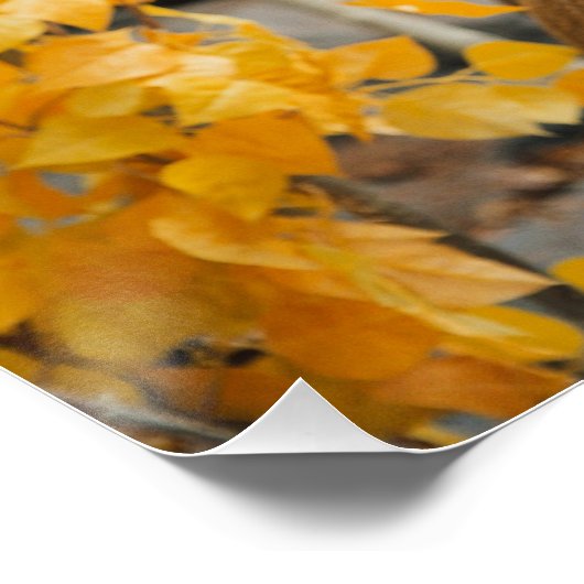 Trophy Deer Perfect Poster (Hoek)