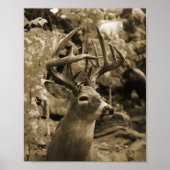 Trophy Deer Poster (Voorkant)