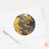 Trophy Deer Ronde Sticker (Envelop)