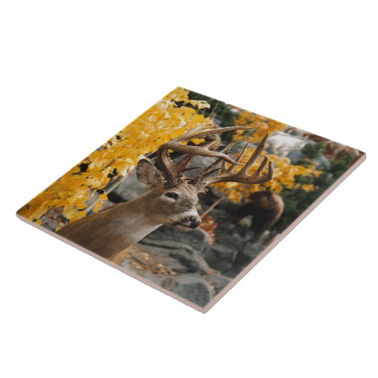 Trophy Deer Tegeltje (Zijkant)