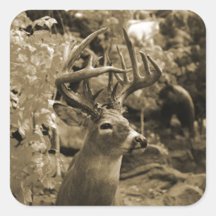 Trophy Deer Vierkante Sticker