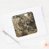 Trophy Deer Vierkante Sticker (Envelop)