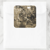 Trophy Deer Vierkante Sticker (Tas)