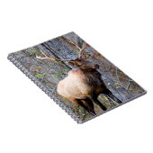 Trophy Elk-Notitieboek Notitieboek (Rechterzijde)