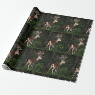Trophy White Tail Buck in Velvet Cadeaupapier