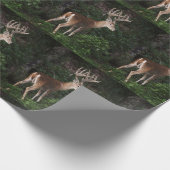 Trophy White Tail Buck in Velvet Cadeaupapier (Hoek)