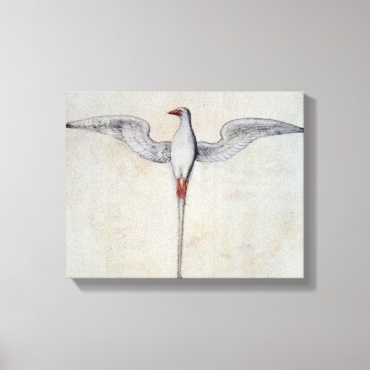 Tropic Bird Canvas Afdruk (Voorkant)