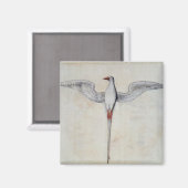 Tropic Bird Magneet (Voorkant / Achterkant)