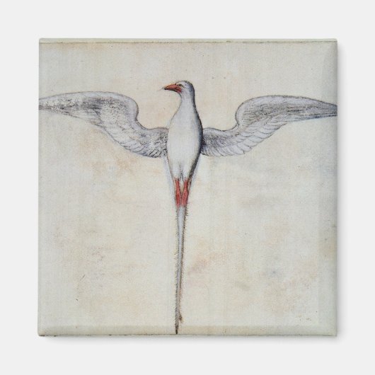 Tropic Bird Magneet (Voorkant)